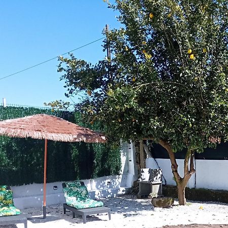 Casa Amelia 1ªp A 50 M Camino De Santiago Βίλα Padrón Εξωτερικό φωτογραφία